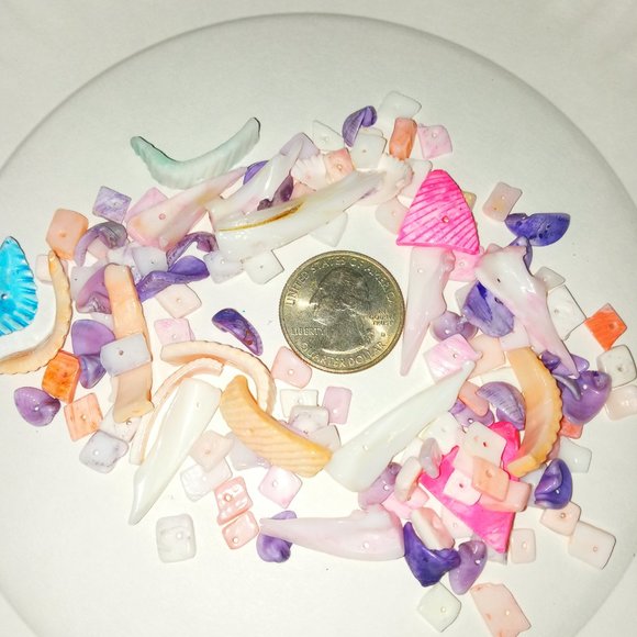 20 random puka shells See quarter for size reference NEW - Picture 3 of 4